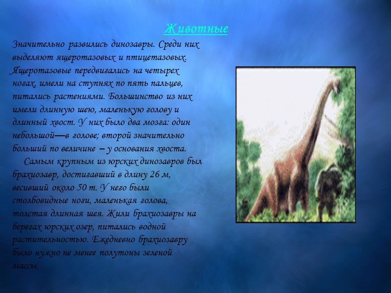 Животные  Значительно развились динозавры. Среди них выделяют ящеротазовых и птицетазовых. Ящеротазовые передвигались на